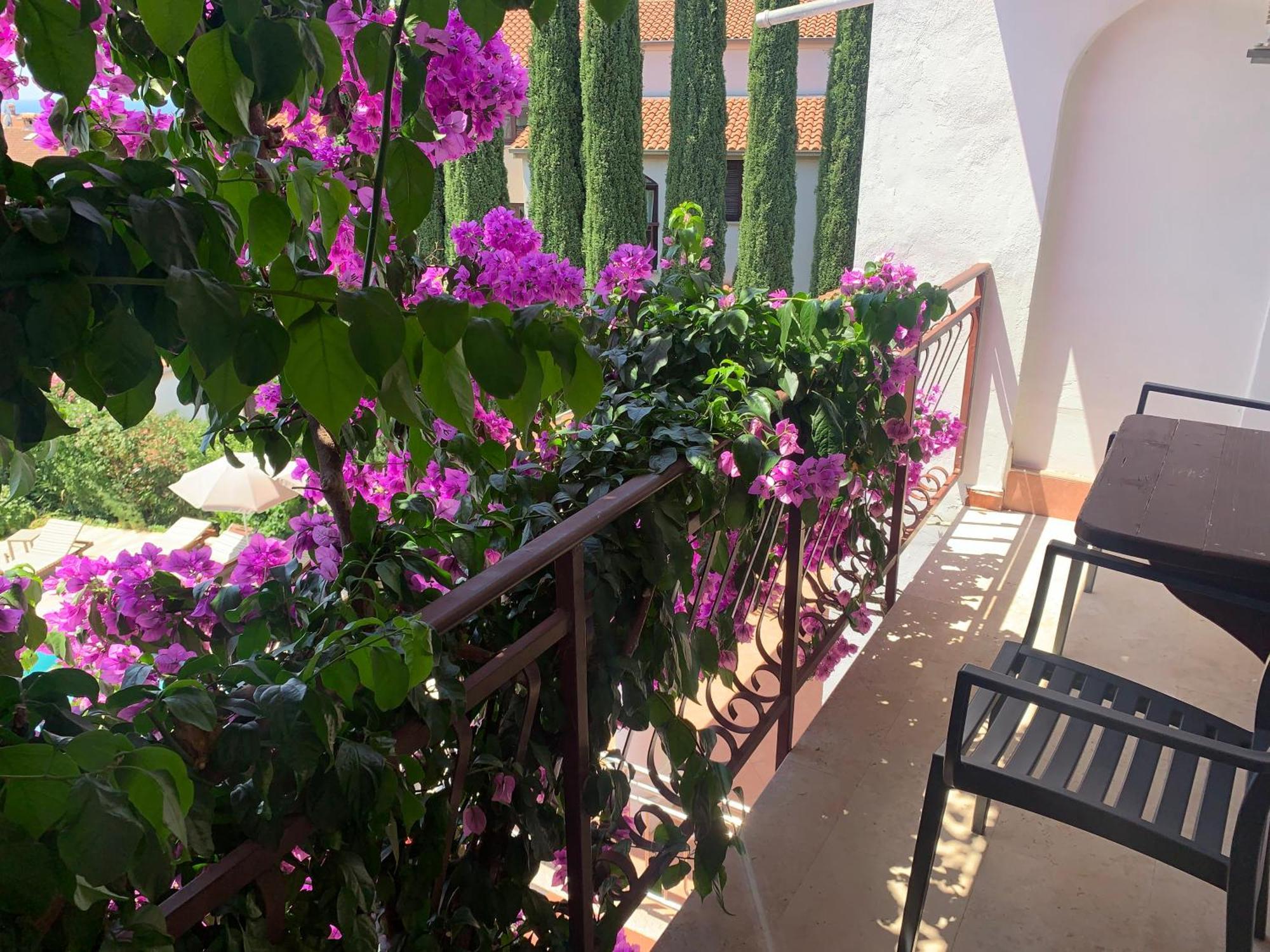 Gargamelo Pension Пореч Екстер'єр фото